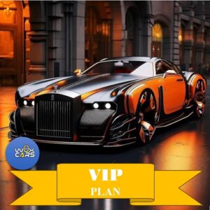 VIP Plans
